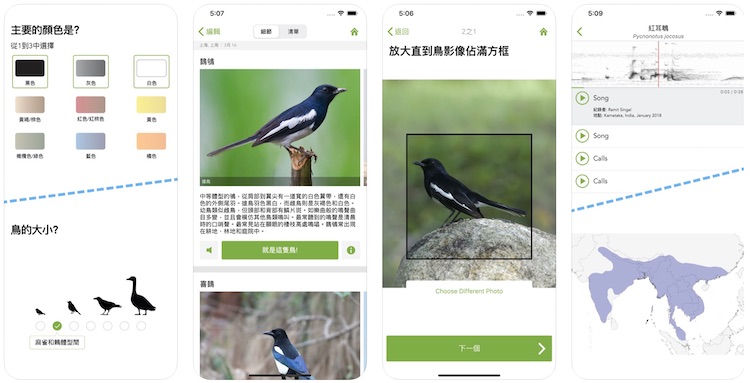 识别您看到的每一种鸟：苹果 iOS App「Merlin 鸟种识别 by Cornell Lab」