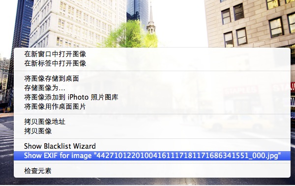 在苹果 Safari 5 浏览器里右击网页上的照片，右键菜单里有查看 EXIF 信息的选项