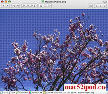Mac技巧之苹果电脑MacOSX系统下类似ACDSee的看图软件：Xee