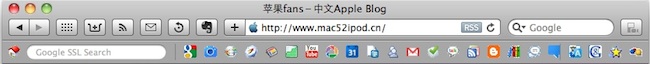 苹果 Safari 浏览器安装 Google 工具栏后的效果