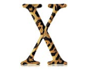Mac OS X v10.2 (Jaguar)