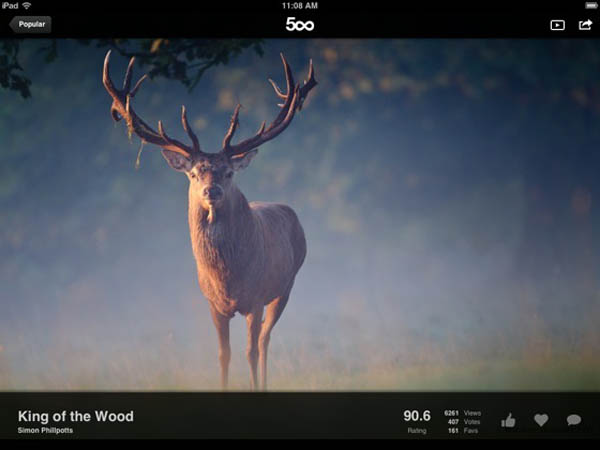 苹果 iPad 上寻找和欣赏高品质照片的应用：500px（免费 App）