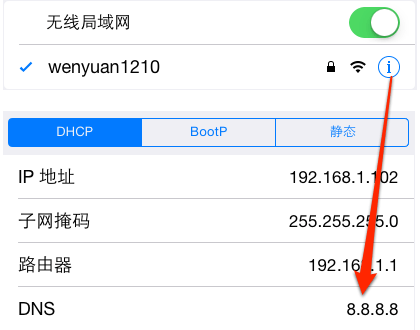 苹果 iOS 系统上修改 DNS