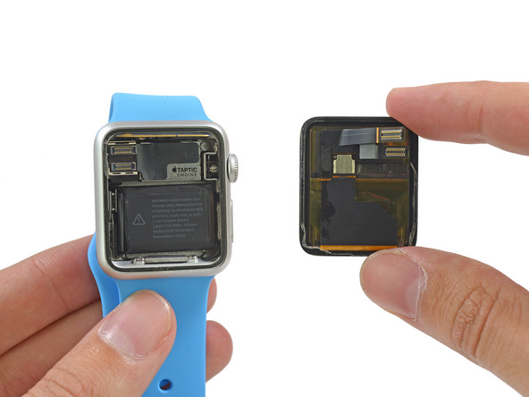 苹果 Apple Watch 手表拆机组图